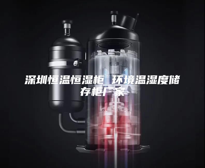 深圳恒溫恒濕柜 環(huán)境溫濕度儲存柜廠(chǎng)家
