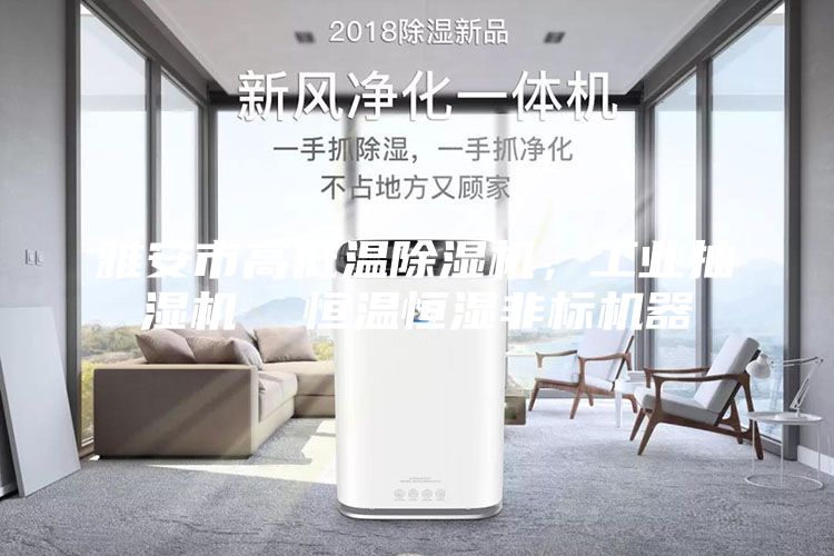雅安市高低溫除濕機，工業(yè)抽濕機  恒溫恒濕非標機器