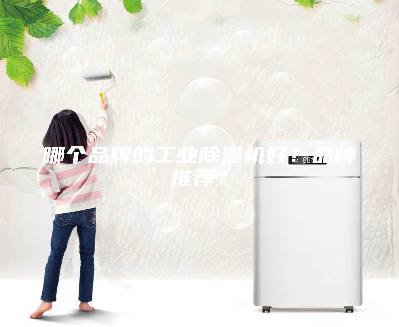 哪個(gè)品牌的工業(yè)除濕機好？品牌推薦？