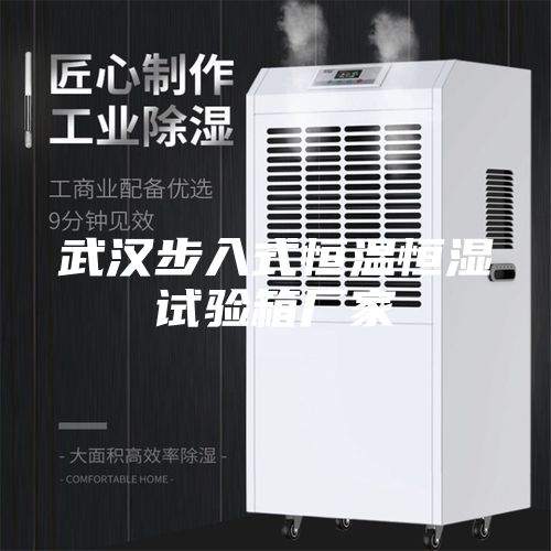 武漢步入式恒溫恒濕試驗箱廠(chǎng)家