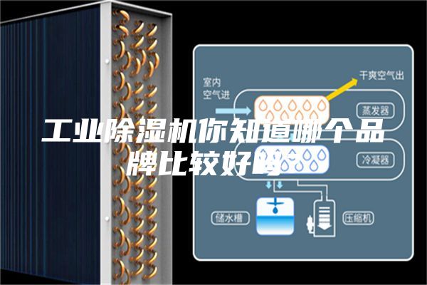 工業(yè)除濕機你知道哪個(gè)品牌比較好嗎？
