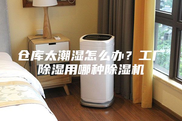 倉庫太潮濕怎么辦？工廠(chǎng)除濕用哪種除濕機