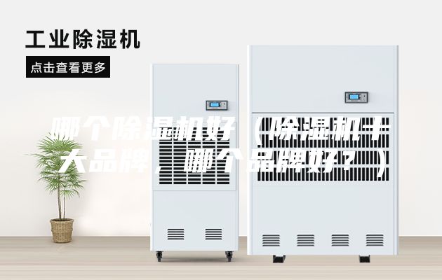 哪個(gè)除濕機好（除濕機十大品牌，哪個(gè)品牌好？）