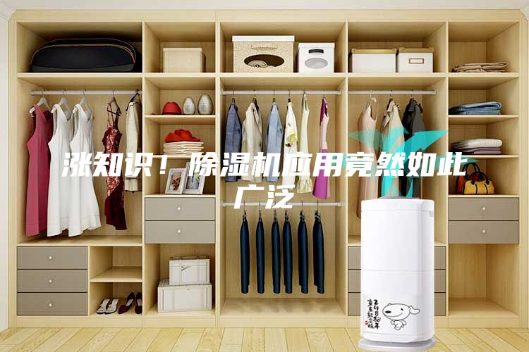 漲知識！除濕機應用竟然如此廣泛