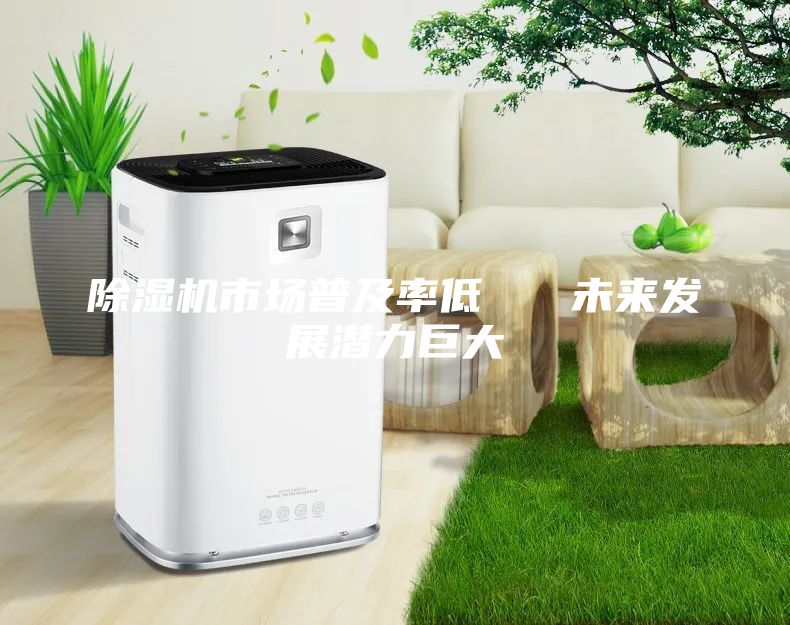 除濕機市場(chǎng)普及率低   未來(lái)發(fā)展潛力巨大