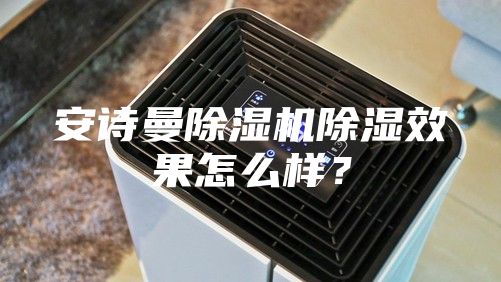 安詩(shī)曼除濕機除濕效果怎么樣？