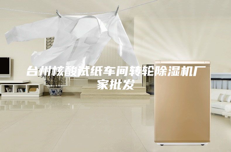 臺州核酸試紙車(chē)間轉輪除濕機廠(chǎng)家批發(fā)