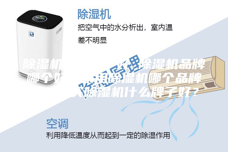除濕機哪個(gè)牌子好 除濕機品牌哪個(gè)好？家用除濕機哪個(gè)品牌好，想買(mǎi)除濕機什么牌子好？