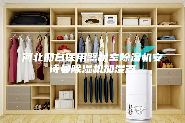 河北邢臺醫用器材室除濕機安詩(shī)曼除濕機加濕器