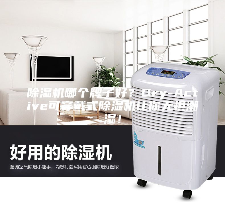 除濕機哪個(gè)牌子好？Dry-Active可穿戴式除濕機讓你無(wú)懼潮濕！