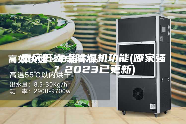 重慶低露點(diǎn)除濕機功能(哪家強？2023已更新)