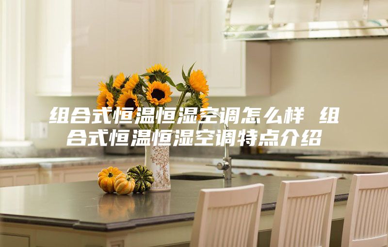 組合式恒溫恒濕空調怎么樣 組合式恒溫恒濕空調特點(diǎn)介紹