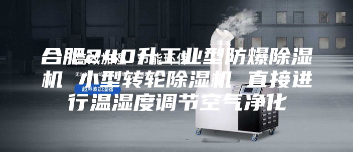 合肥240升工業(yè)型防爆除濕機 小型轉輪除濕機 直接進(jìn)行溫濕度調節空氣凈化