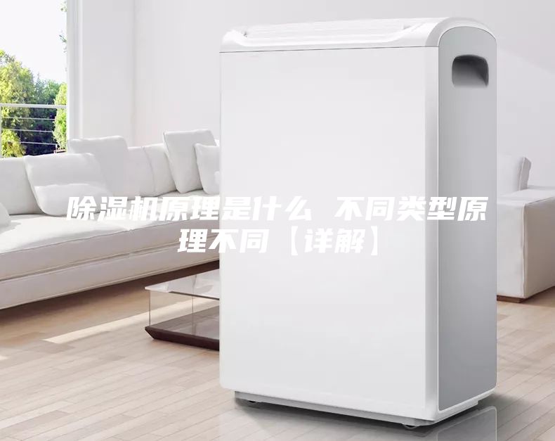 除濕機原理是什么 不同類(lèi)型原理不同【詳解】