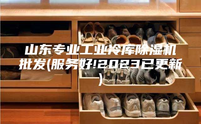 山東專(zhuān)業(yè)工業(yè)冷庫除濕機批發(fā)(服務(wù)好!2023已更新)