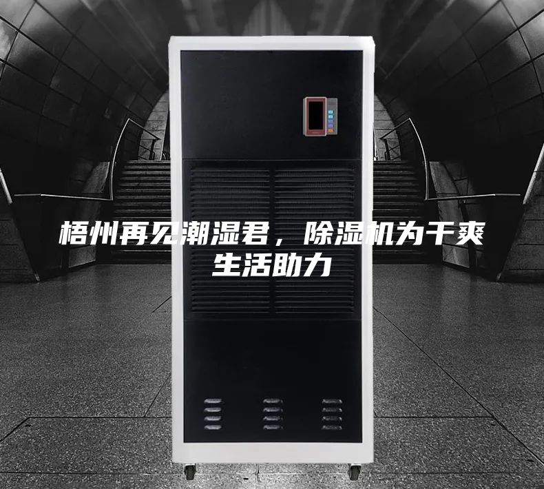 梧州再見(jiàn)潮濕君，除濕機為干爽生活助力