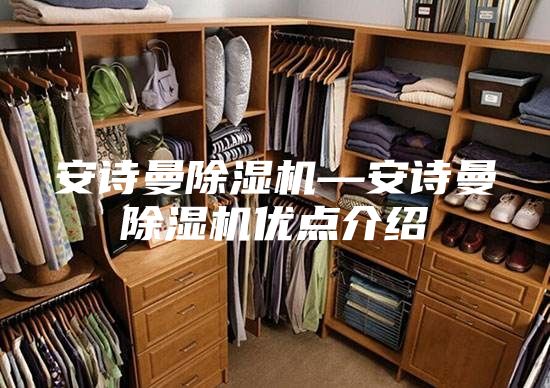 安詩(shī)曼除濕機—安詩(shī)曼除濕機優(yōu)點(diǎn)介紹