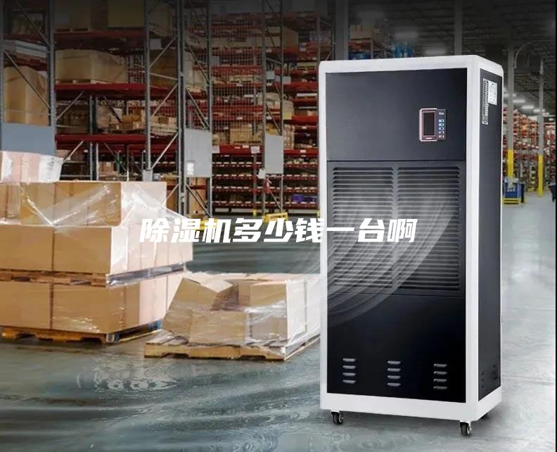 除濕機多少錢(qián)一臺啊