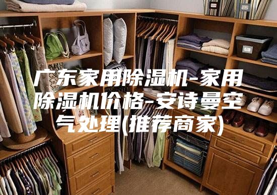 廣東家用除濕機-家用除濕機價(jià)格-安詩(shī)曼空氣處理(推薦商家)