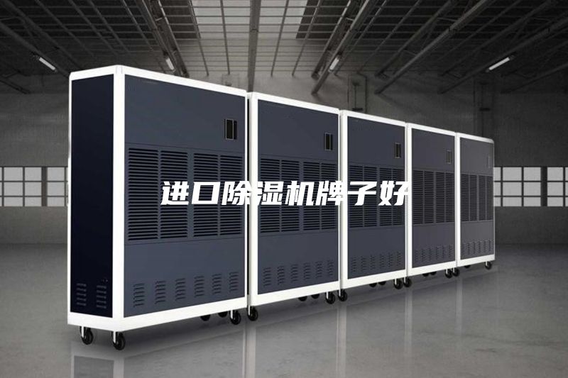 進(jìn)口除濕機牌子好