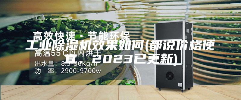 工業(yè)除濕機效果如何(都說(shuō)價(jià)格便宜，2023已更新)