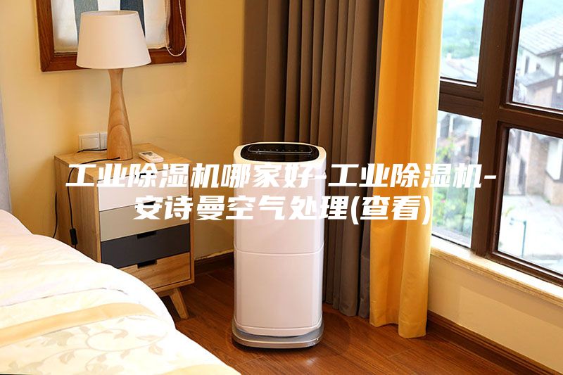 工業(yè)除濕機哪家好-工業(yè)除濕機-安詩(shī)曼空氣處理(查看)
