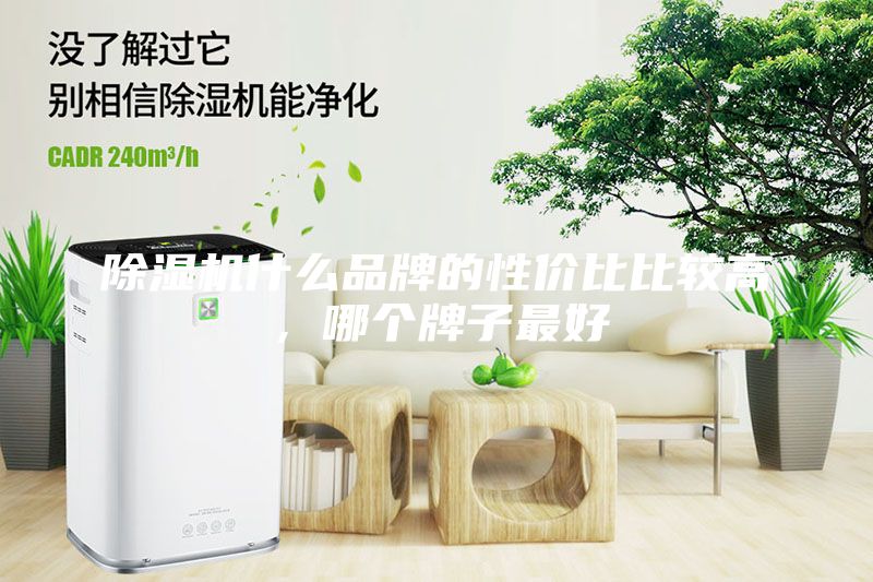 除濕機什么品牌的性?xún)r(jià)比比較高，哪個(gè)牌子最好