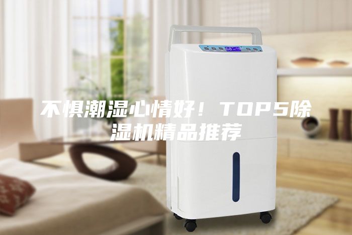 不懼潮濕心情好！TOP5除濕機精品推薦