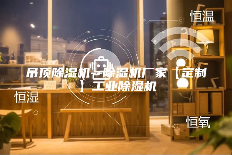 吊頂除濕機--除濕機廠(chǎng)家【定制】工業(yè)除濕機