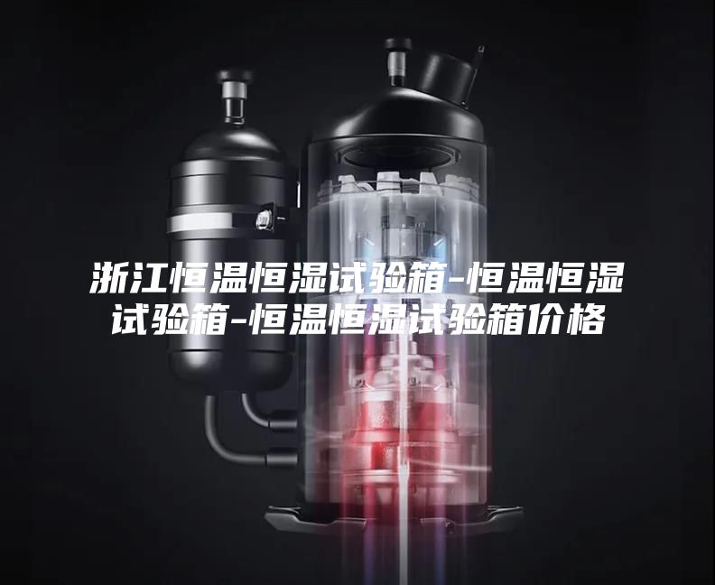 浙江恒溫恒濕試驗箱-恒溫恒濕試驗箱-恒溫恒濕試驗箱價(jià)格
