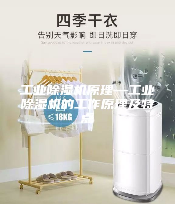 工業(yè)除濕機原理—工業(yè)除濕機的工作原理及特點(diǎn)