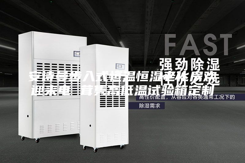安詩(shī)曼步入式恒溫恒濕老化房歡迎來(lái)電 茸雋高低溫試驗箱定制