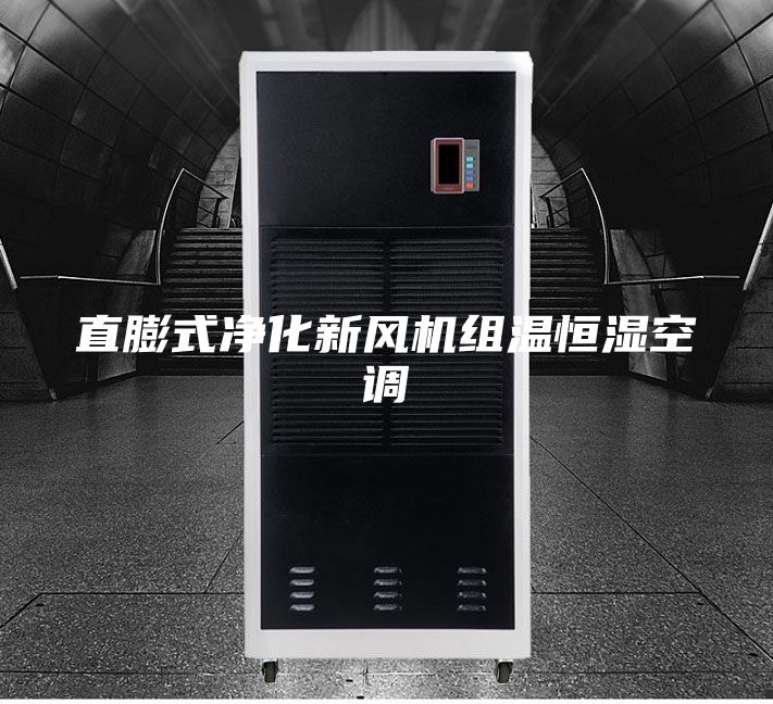 直膨式凈化新風(fēng)機組溫恒濕空調
