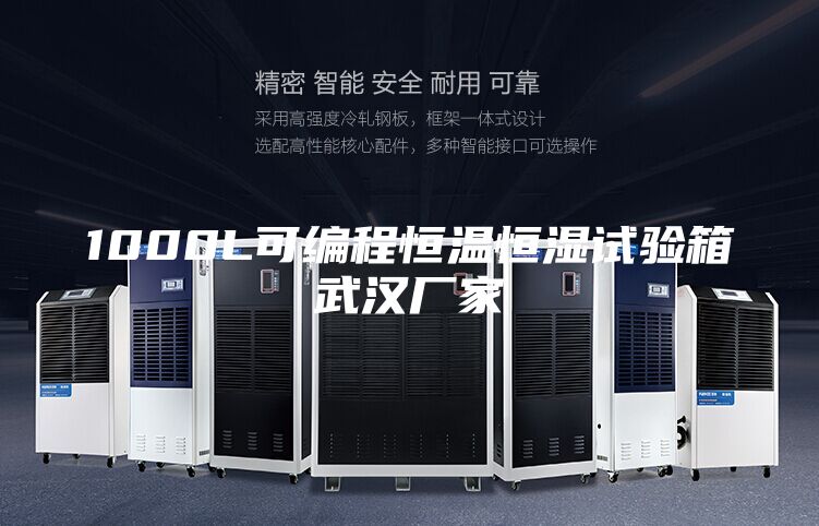 1000L可編程恒溫恒濕試驗箱武漢廠(chǎng)家