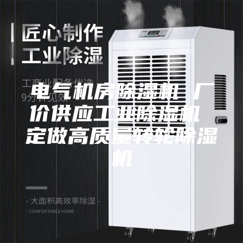 電氣機房除濕機 廠(chǎng)價(jià)供應工業(yè)除濕機 定做高質(zhì)量轉輪除濕機