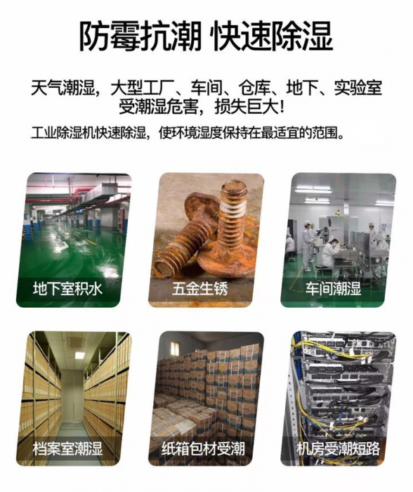 確認過(guò)眼神，是對的除濕機
