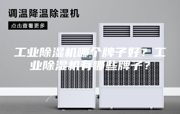 工業(yè)除濕機哪個(gè)牌子好？工業(yè)除濕機有哪些牌子？