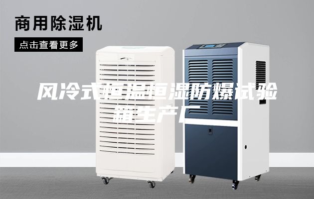 風(fēng)冷式恒溫恒濕防爆試驗箱生產(chǎn)廠(chǎng)