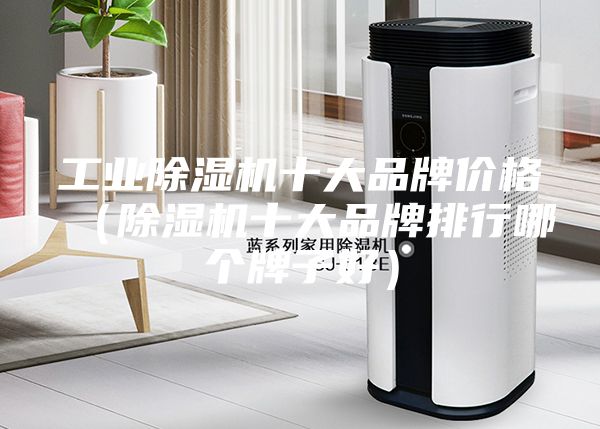 工業(yè)除濕機十大品牌價(jià)格（除濕機十大品牌排行哪個(gè)牌子好）