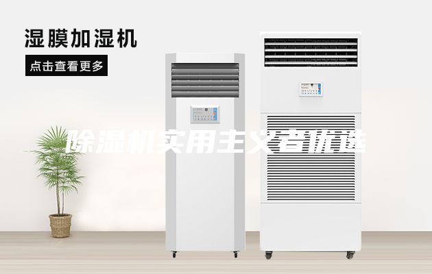 除濕機實(shí)用主義者優(yōu)選