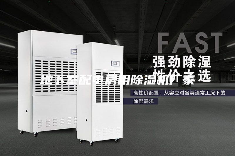 地下室配電房用除濕機廠(chǎng)家