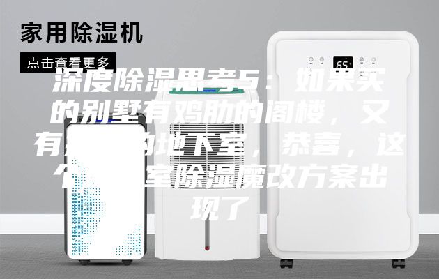 深度除濕思考5：如果買(mǎi)的別墅有雞肋的閣樓，又有操心的地下室，恭喜，這個(gè)地下室除濕魔改方案出現了