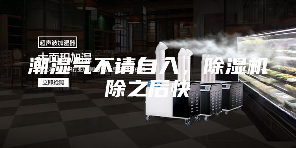 潮濕氣不請自入，除濕機除之后快