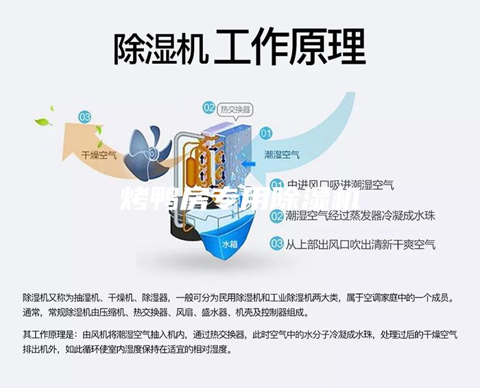 烤鴨房專(zhuān)用除濕機