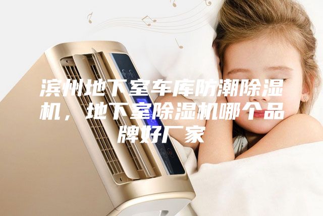 濱州地下室車(chē)庫防潮除濕機，地下室除濕機哪個(gè)品牌好廠(chǎng)家
