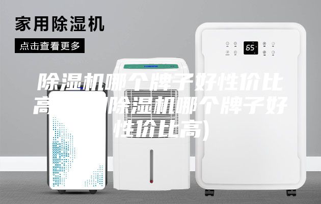 除濕機哪個(gè)牌子好性?xún)r(jià)比高(家用除濕機哪個(gè)牌子好性?xún)r(jià)比高)