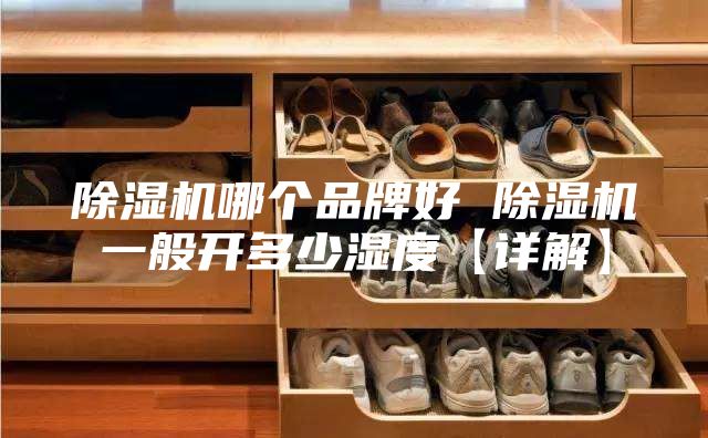 除濕機哪個(gè)品牌好 除濕機一般開(kāi)多少濕度【詳解】