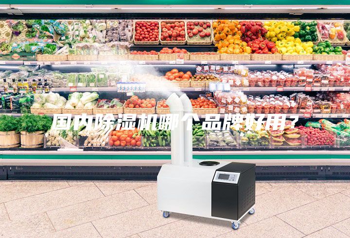 國內除濕機哪個(gè)品牌好用？