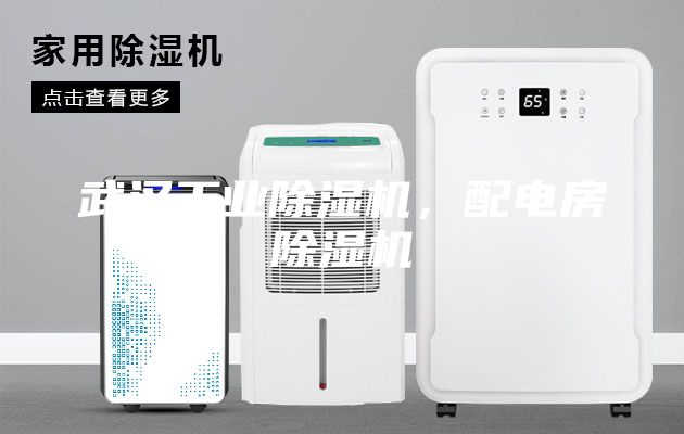 武漢工業(yè)除濕機，配電房除濕機