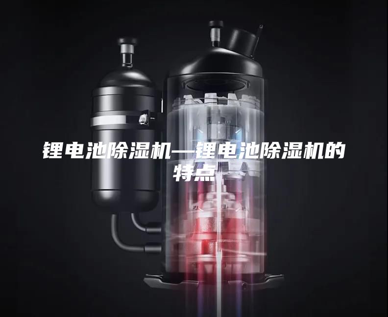 鋰電池除濕機—鋰電池除濕機的特點(diǎn)